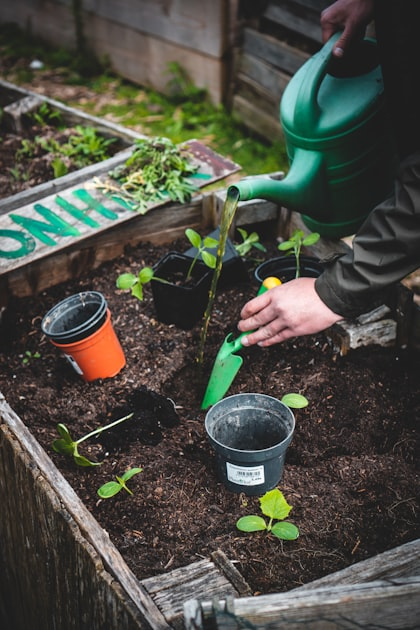 Spring Start-Up Tips for Sprinkler Systems