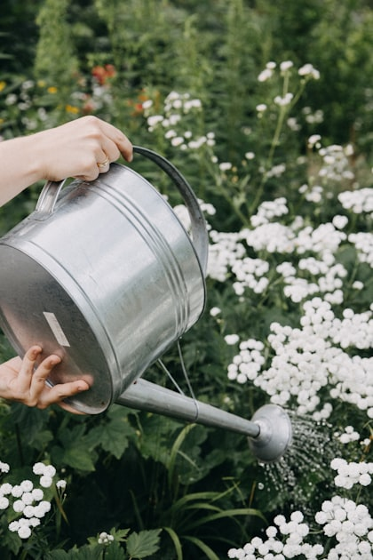 How to Winterize Your Irrigation System