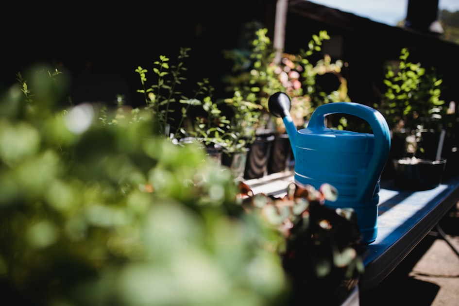 Water-Efficient Upgrades for Your Landscape